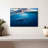 Brampt Blue Ocean Whale-107688008