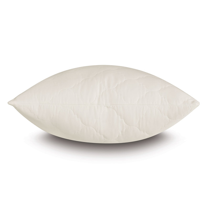 Viola 100% Cotton, Ivory, Standard