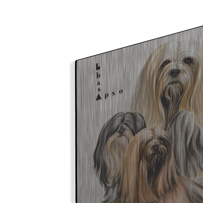 "Lhasa Apso" par Barbara Keith, H 16 po x l 12 po