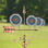 33'' H Metal Novelty & Humor Weathervane