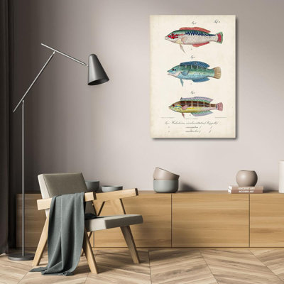 Beachcrest Home™ Vision Studio Gallery Wrapped Canvas Art Titled: Antique Fish Trio II
