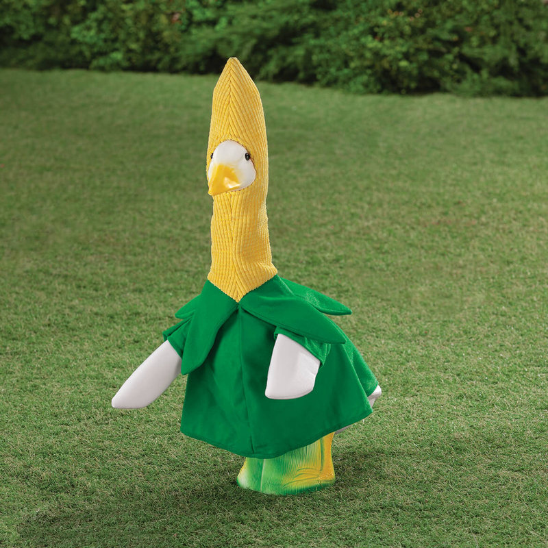 Ensemble de maïs en épi de maïs