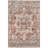 Roeder Oriental Salmon/Orange Area Rug-1684143168