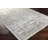 Mann Viscose Oriental Indoor Rug-420180814