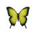 Yellow/Black