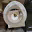 Customer photo 4 of 5