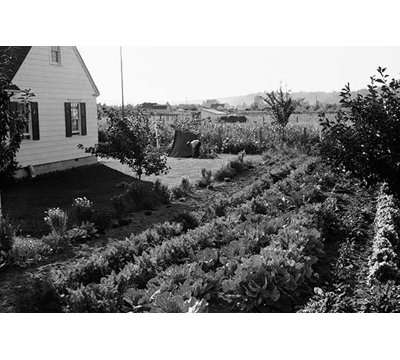 « homestead project », reproduction de photo