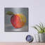 «A Is For Apple» par St. Hilaire Eli «A Is For Apple» par St. Hilaire Elizabeth-1336125129