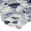 Hydra 11.81 W X 11.81 L Tile
