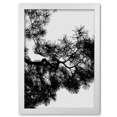 Pine Tree Black & White - Print