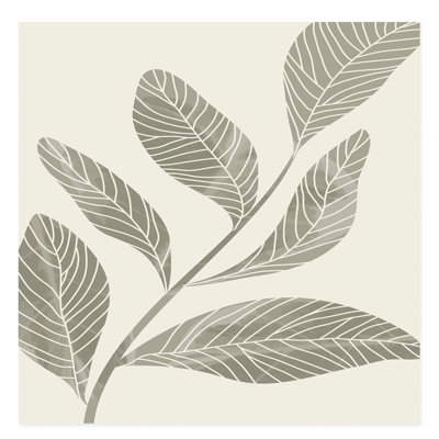 «Botanical Sage Green Leaves II», reproduction d'art sans cadre