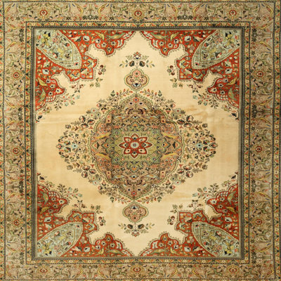 Richy Oriental Indoor Rug