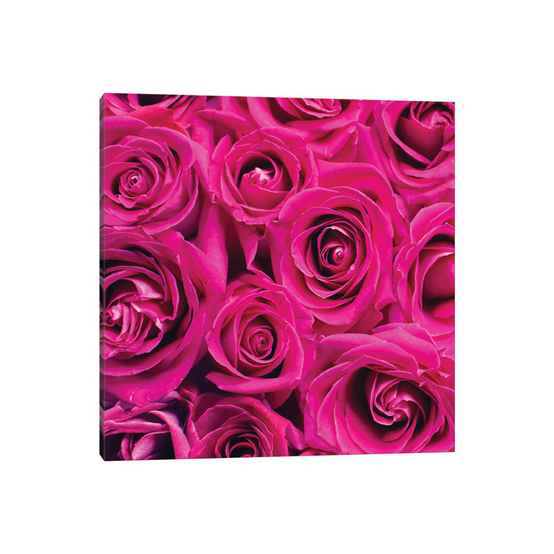 Paris Rose I by Kimberly Allen - Wrapped Canvas Print, 66.04 cm H x 66.04 cm W x 1.91 cm D