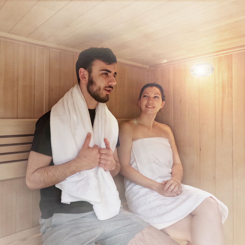 White Wall-Mounted Moisture Resistant Sauna Lamp