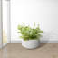Pot à fleurs en béton Dovenby-1072156738-1053064300