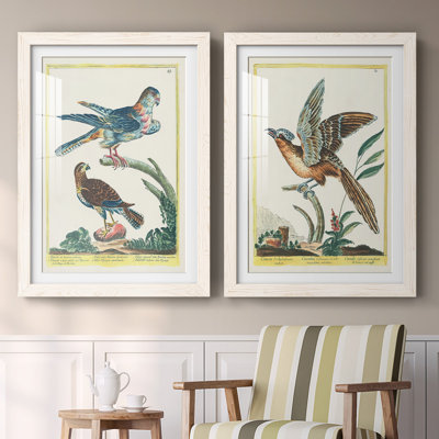 «Pastel Birds III», reproduction encadrée de qualité supérieure - prête à être accrochée