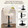 Swivel Upholstered Adjustable Height Bar Counter Stool with Metal Frame (Set of 4)