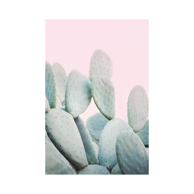 Pink Pastel Cactus by Sisi & Seb - Gallery-Wrapped Canvas Giclée on Canvas, Canvas, 20.32 cm H x 30.48 cm W