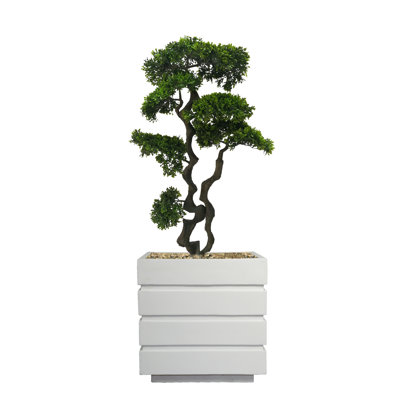 Aislin 37" Artificial Bonsai Tree in Planter