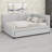 Modern Upholstered Daybed, Includes Trundle-128929969