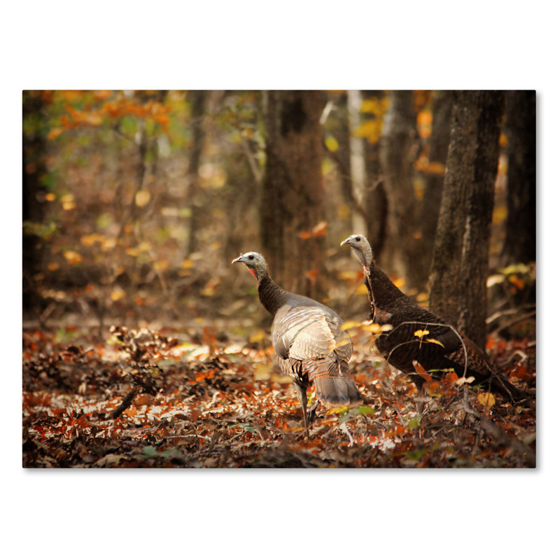«Wild Turquie in the Woods» de Vidur, impression sur toile tendue, H 35 po x l 47 po