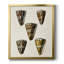 Toile encadrée de qualité supérieure Cone Shell Collection V - prête à être accrochée-1075188429-1075188428
