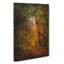Path Through The Forest - Wrapped Canvas-56667609