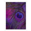 «Peacock Candy IV» par Jadaya, impression sur toile tendue-20094930