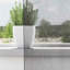 Voile Curtains With Rod Pockets 2 Pcs-1500066744-1500066757