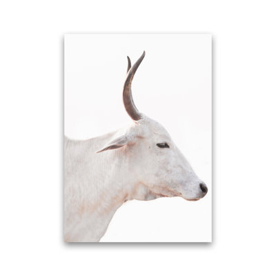 White Cow II by Victoria Frost - Print