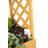 Aubreyelle 433.07cm W x 106.68cm D Solid Wood Arbour in Natural