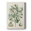 Buchoz Tropicals IX - Gallery Cavas-117869222