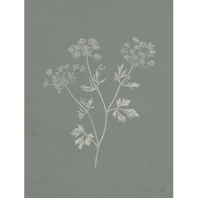 Cadeaux de la sauge IV par Sarah Adams - reproduction