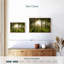 Birch Forest Sunlight-1269280450-1269280455