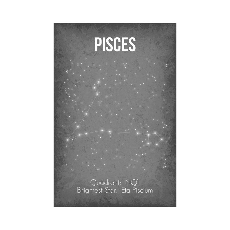 «Pisces» par GetYourNerdOn, impression sur toile tendue, H 12 po x l 8 po x P 0,75 po