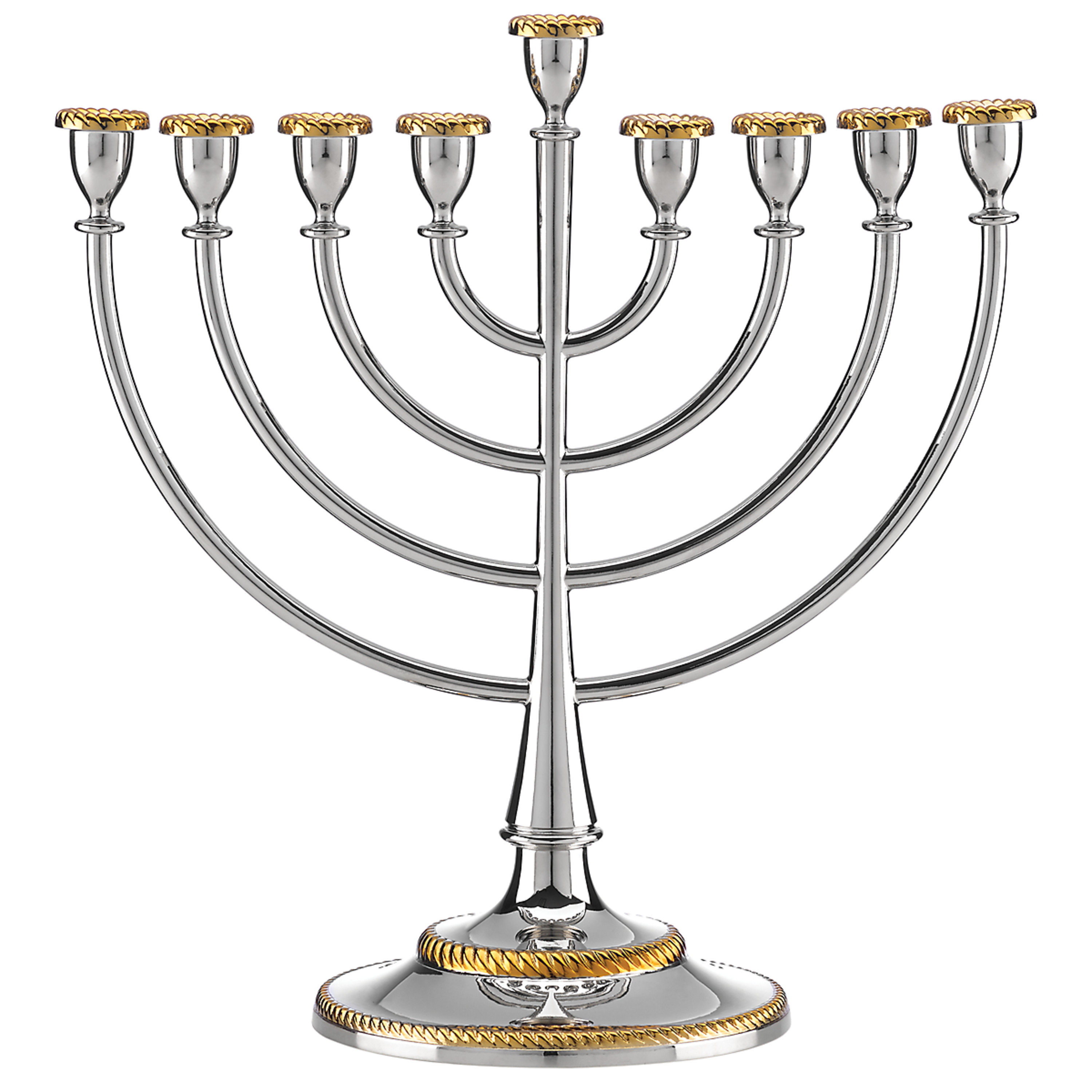 Reed & Barton Roseland Menorah | Birch Lane