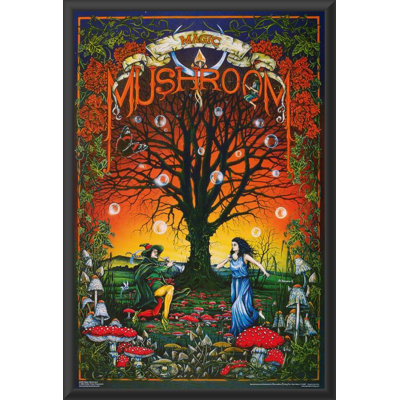 Affiche magique encadrée en bois d'ingénierie avec verre plexi 23 po x 35 po Magic Dance