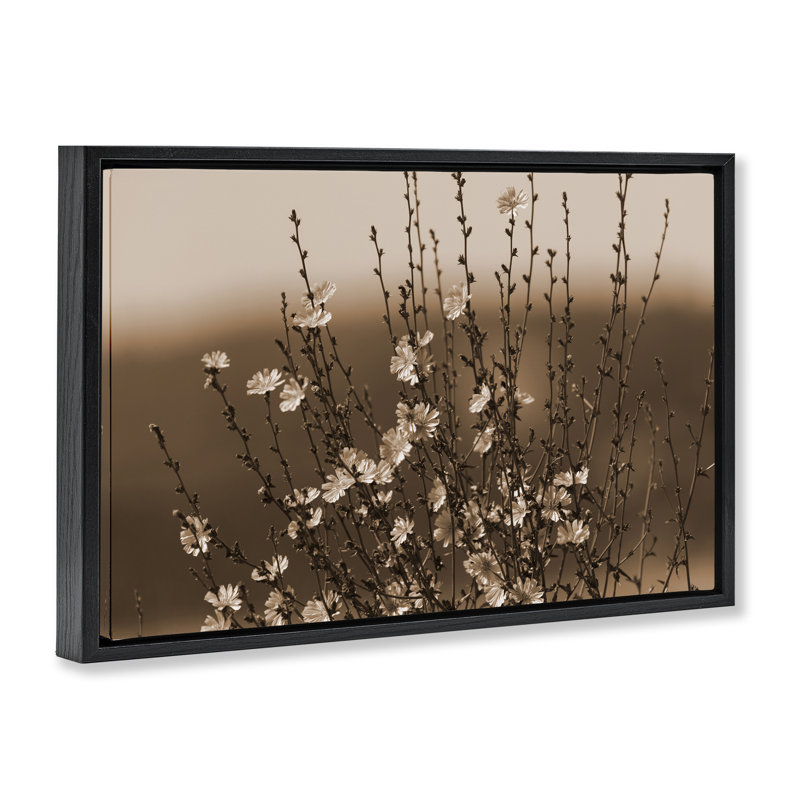  «Tiny Blooming Flowers Floater» par Nancy Crowell, H 21 po x l 31 po, Cadre flottant noir de jais