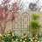 4 Pack Metal Garden Trellis