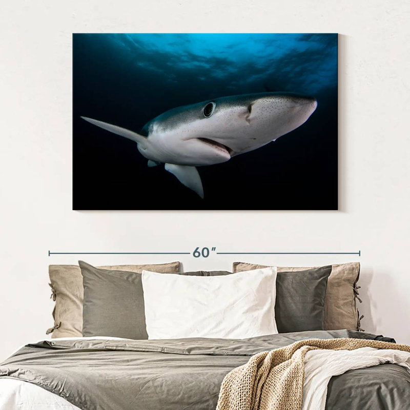 Brampt Underwater Blue Shark, 34" H x 51" W