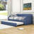 Brisais Twin Daybed with Trundle-1600300443