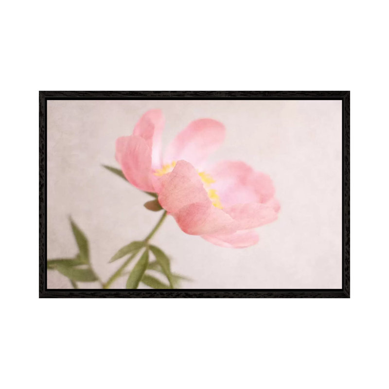 Soft Petals by Sarah Gardner - Gallery-Wrapped Canvas Giclée on Canvas, 66.04 cm H x 45.72 cm W, Black Framed