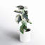 11.5'' Faux Plant in Pot-94734881
