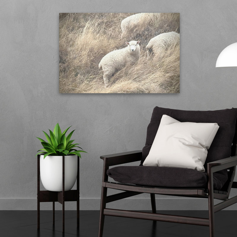Sheep and Nature Highland Grace Art, H 16 po x l 24 po