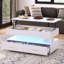 Davanie Solid Coffee Table with Storage-1007953760