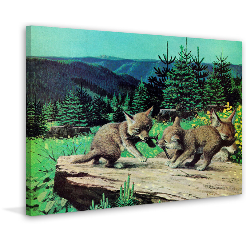 Wrapped Canvas Print, 61cm H x 91cm W x 3.81cm D