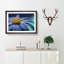 Anemone Flower In Blue - Single Picture Frame Painting-55545192-55545200