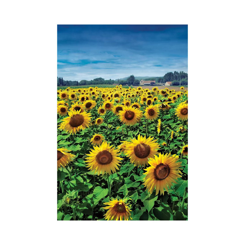 Turn Your Face To The Sun by Ben Heine - Print on Canvas, Wrapped Canvas, 30.48 cm H x 45.72 cm W