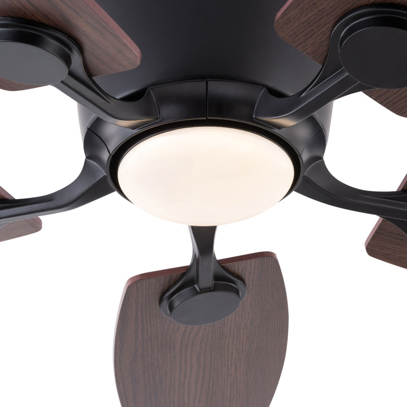 Kerrian Ceiling Fan Chandelier with Light and Remote, Black with Black Blades