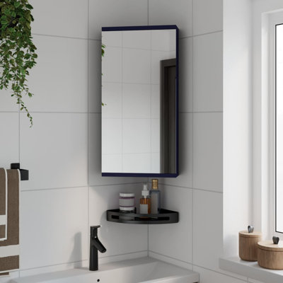 Aheed 299.97 mm W 599.95 mm H Framed Mirrored Bathroom Cabinets Shelves